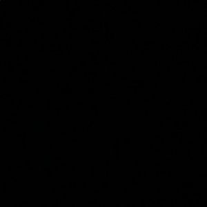 Meet your Posher, Dennis